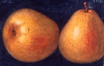 Doppelte Philippsbirne